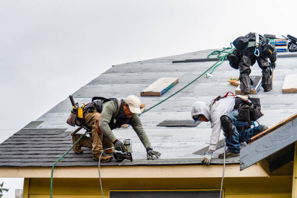 Professional Storm Damage Roof Repair technician working in Barco, NC
